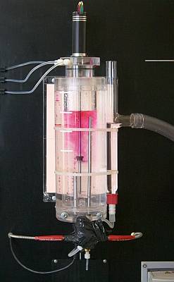 weblab reactor
