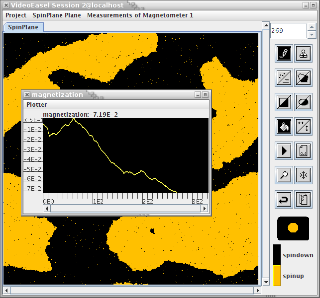 Ising model simulation